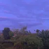 hoa.xng.rng617