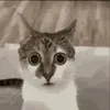 tedokatokun