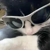 mastader