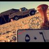 maghol_595