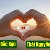 nhungpham5972