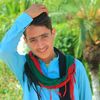 ijazoo41