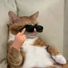 iaammillss