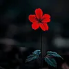 dawkhinwin304