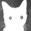 fork14_27