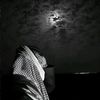 ali.al.ibrahim28