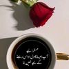 shahbazbhatti6684