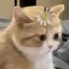 meunbox_08