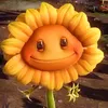 alisher3498
