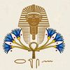 haneen.ayman880