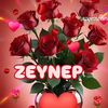zynp23220md