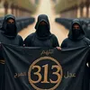 8.fc313