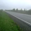t_shkafchik