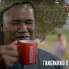rex.obniala
