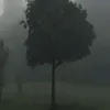 grave_110