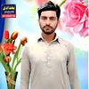 sanawar.ali088