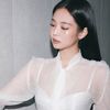 jenoleetae