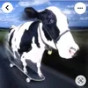 yutillover