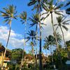 paradiseedits75