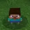im_a_minecraft_live