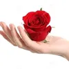 sonaelhqgkq