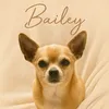 baileyboobentley