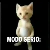 seilamano24469