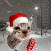 phillip.schmittat