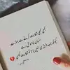 threeflog