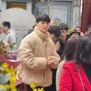 copper_tran