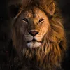esmahel_shexraza22