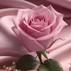 mary399526