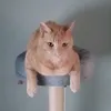gary_tiktok2024