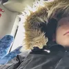 am_kz3