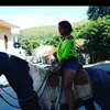 regina_8900