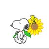 thais_149