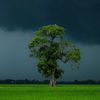 jewel_hossain05