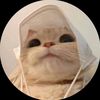catsareamazing333