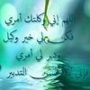 user2239479955126