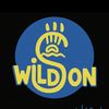 wildsonart.com
