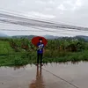 nhan102000