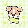nhat.hong.pham