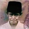 wereng.sawah7