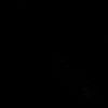 raizye_
