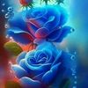 user6188502719080