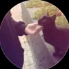 sx_yhg