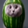 skibidi69_4