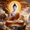 quanhuynh426