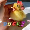 hi_its_me_6510
