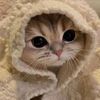 riki.yuda7